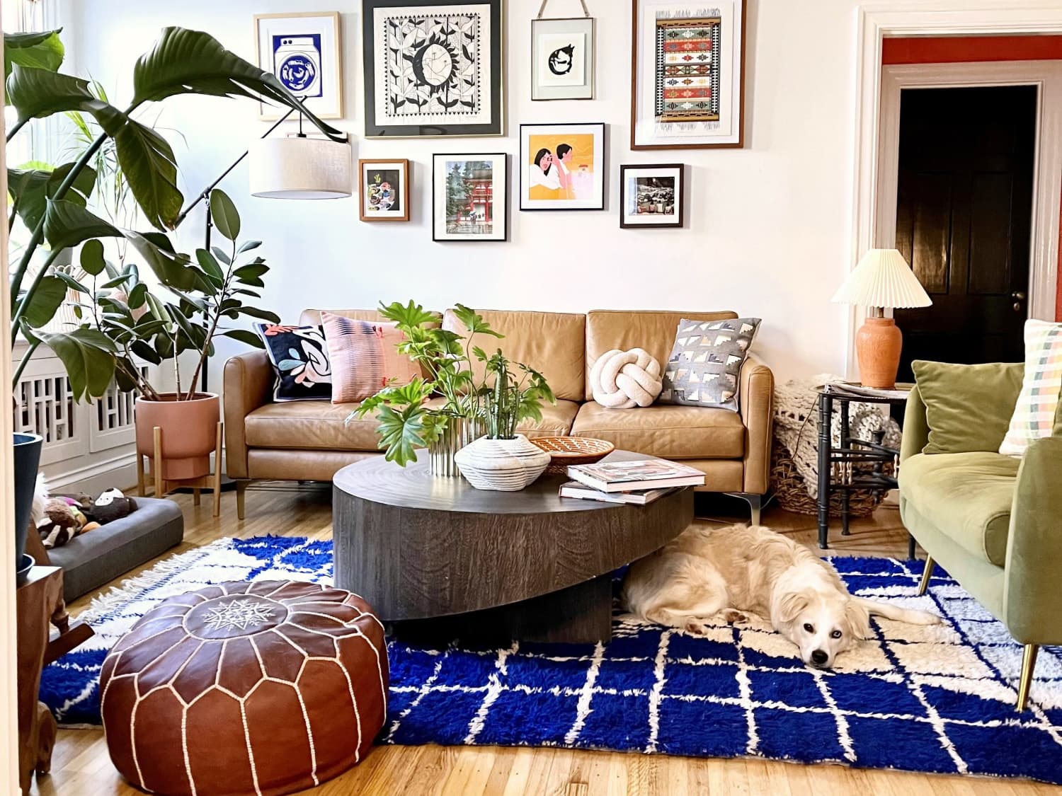 This Washington D.C. Co-Op Is Colorful Plant Maximalism